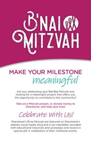 Bnai Mitzvah Brochure